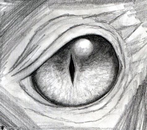 How To Draw A Dragon Eye Dragon Eye Drawing Eye