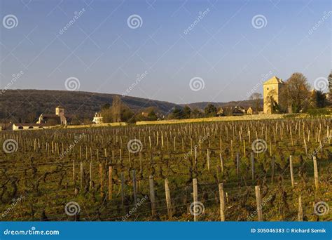 Chateau De Gevrey Chambertin Castle Burgundy France Stock Image