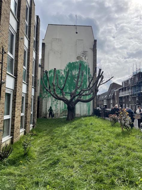 Banksy S New Tree Mural In North London S Hornsey Road A Commentary On