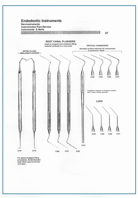 Endodontic Instruments Hamsan Surgical