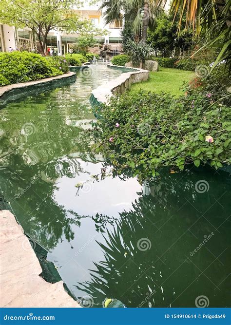 Lazy river in the hotel stock photo. Image of garden - 154910614