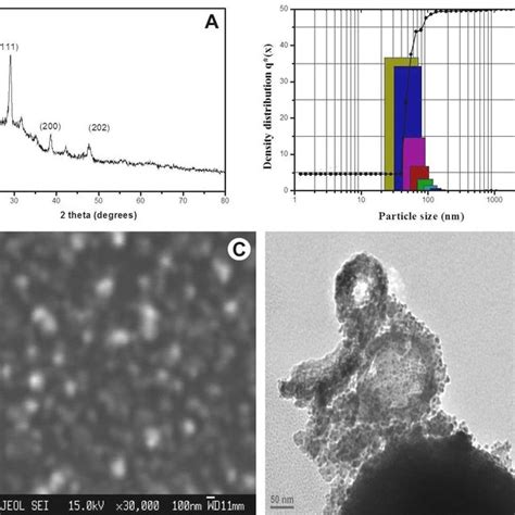 Characterization Of Synthesized Cuo Nps A X Ray Diffraction Pattern Download Scientific