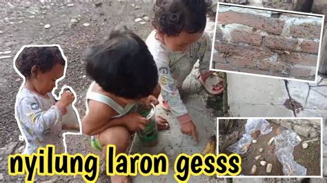 Laron Terbang Berburu Laron Keluarga Dari Tanah Youtube