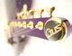 Gus Guitars G1 Purple Special