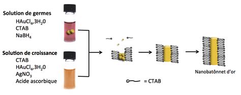 Quelques synthèses de nanoparticules d or CultureSciences Chimie