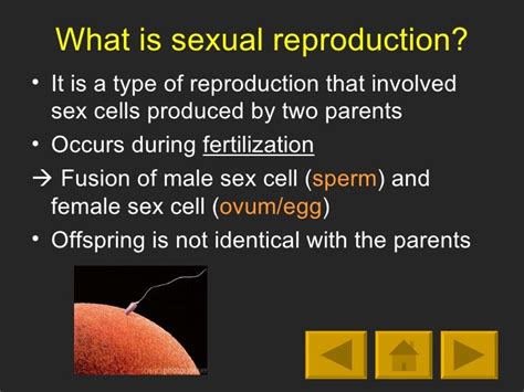 Introduction To Sexual Reproduction