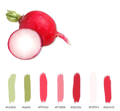 Radish Color Palette Food Colors Palette Color Radish