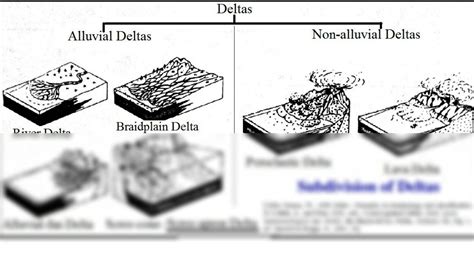 SOLUTION: Delta types - Studypool