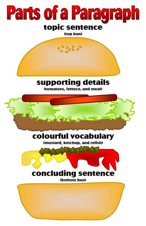 Hamburger Model For Writing Paragraphs