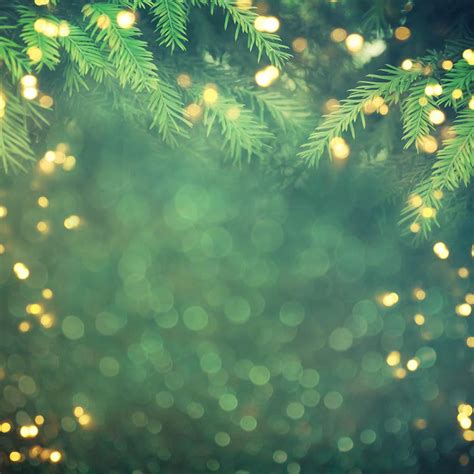 Christmas Tree Branch With Golden Sparkle Photography Backdrop N 0012