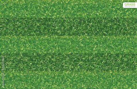 Green grass pattern and texture for soccer field, football field, rugby ...