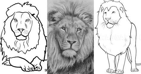 Lion Drawing Easy