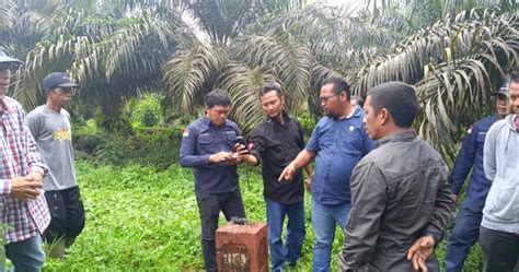 Terbukti Ada Sawit Di Luar Hgu Pt Bma Faizal Rachman Sebut Bisa