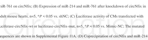 Interaction Of Circnfix And Mir A The Predicted Binding Of