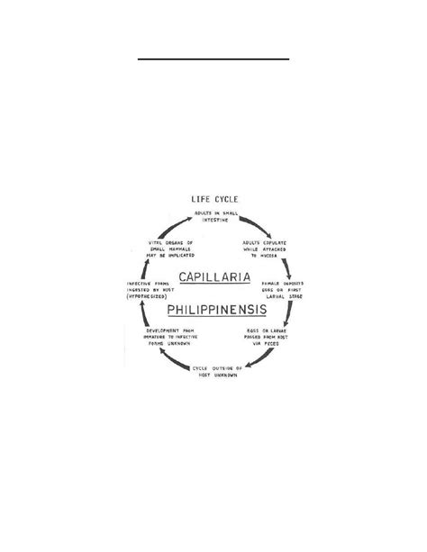 Figure 4-11. Life cycle of Capillaria philippinesis. - Parasitology II