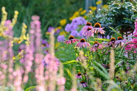 Prairie Garden Inspiring Garden Ideas For All Gardeners