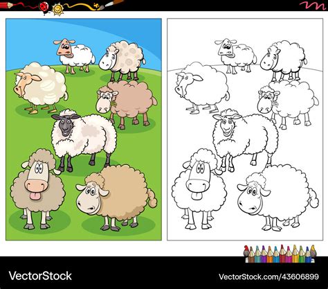 Cartoon sheep farm animal characters coloring page