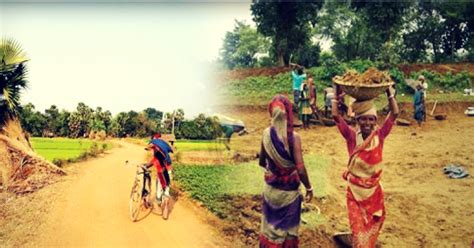 Deep in the Sundarbans, India's Best Gram Panchayat Is Driving Real ...