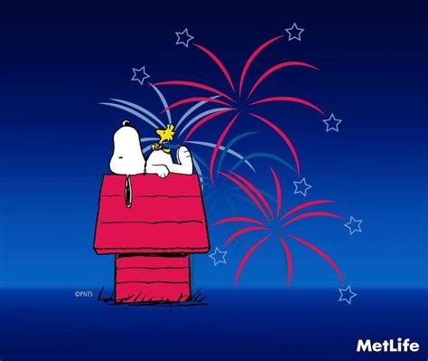 Snoopy Fireworks Display