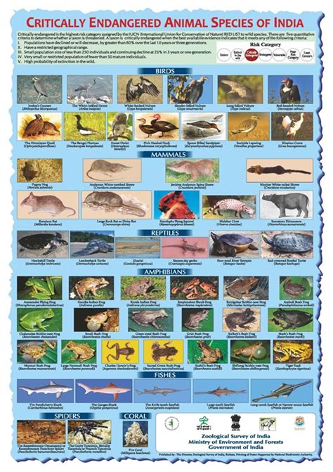 Critically Endangered Animal Species of India