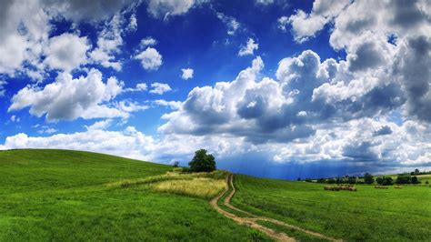 Wallpaper Sunlight Trees Landscape Hill Nature Grass Sky Field