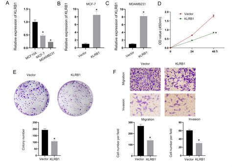 Figure 8 From Low Expression Of KLRB1 Predicts Poor Survival Outcomes