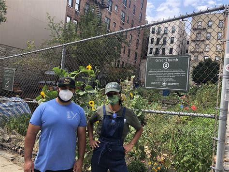 Bronx Green-Up and NYC Compost Project Reconnecting Virtually with