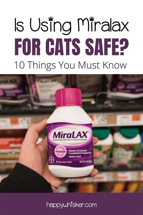 Is Using Miralax For Cats Safe? 10 Things You Must Know