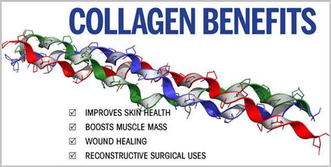 All You Need To Know About Collagen And Its Benefits For Skin