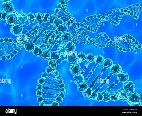 Ilustraci N De Azul El Adn Cido Desoxirribonucleico Fotograf A De