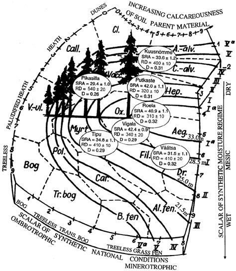 The Average Growth Rate Of Spruce Depending On The Site Solid Lines