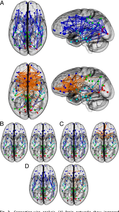 Pdf Sex Differences In The Structural Connectome Of The Human Brain