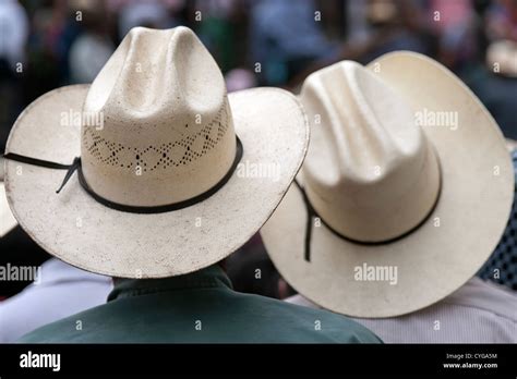 Fiesta Tradicional Santiago Fotos E Im Genes De Stock Alamy