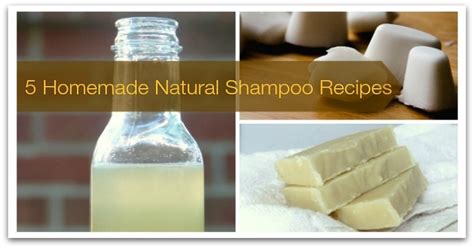 5 Homemade Natural Shampoo Recipes Natural Holistic Life