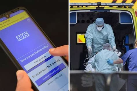 Felice Herrig Naked Moment Ufc Star Drops Towel At Weigh In Daily Star