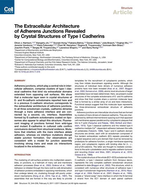 Pdf The Extracellular Architecture Of Adherens Junctions Revealed By