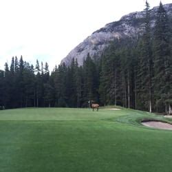 Banff Springs Hotel Golf Course - 41 Photos - Hotels - 405 Spray Avenue ...