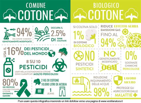 Cotone Biologico Vs Cotone Standard Vesti La Natura