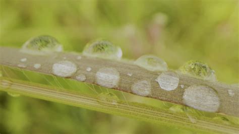 NOT PORN Don T Tell Me Disturbed Ann Wilson Ann Angel