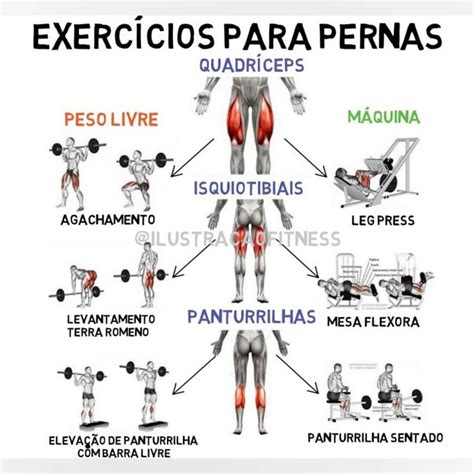 Treino efetivo para pernas exercícios de pesos livres e seu