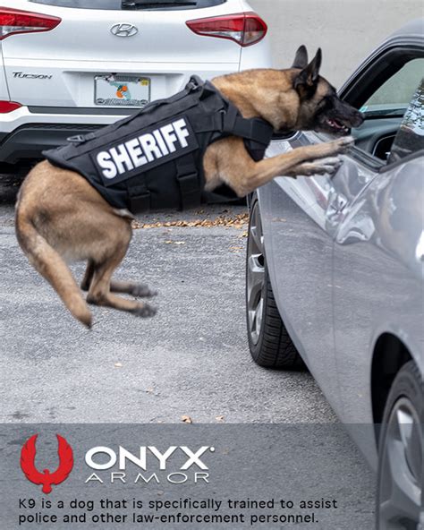 K 9 Onyx Armor Body Armor