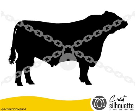 Show Steer Svg Cow Svg Bull Svg Livestock Svg Svg Png Etsy