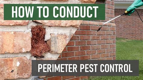 How To Keep Bugs Out With Perimeter Pest Control YouTube