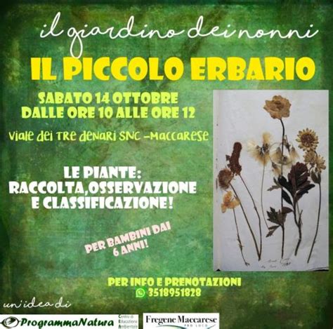 Il Piccolo Erbario A Il Giardino Dei Nonni Fregeneonline