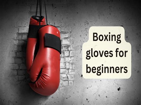 Best Boxing Gloves For Beginners Atelier Yuwa Ciao Jp