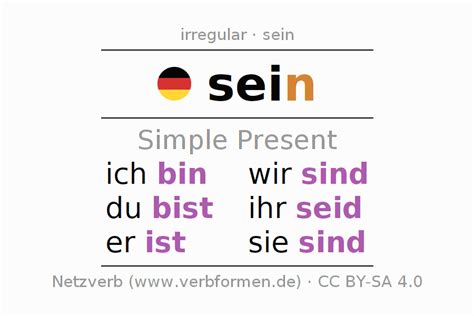 Present German "sein" - All forms of verb, rules, examples | Netzverb Dictionary