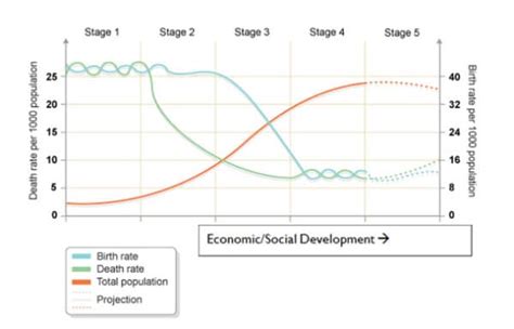 Demographic Transition Theory Human Geography Upsc Upsc Notes