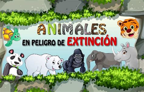 ANIMALES EN PELIGRO | Pearltrees