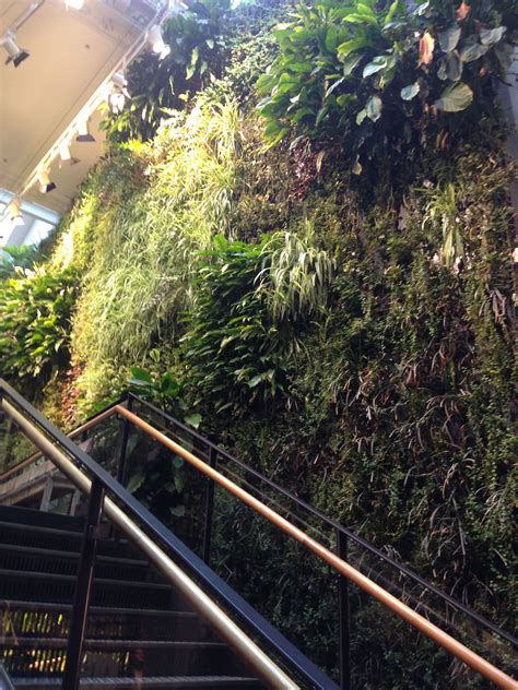 Artificial Interior Foliage Wall Being Used In Chill Out Room