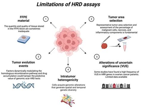 Jpm Free Full Text Homologous Recombination Deficiency In Ovarian Cancer From The